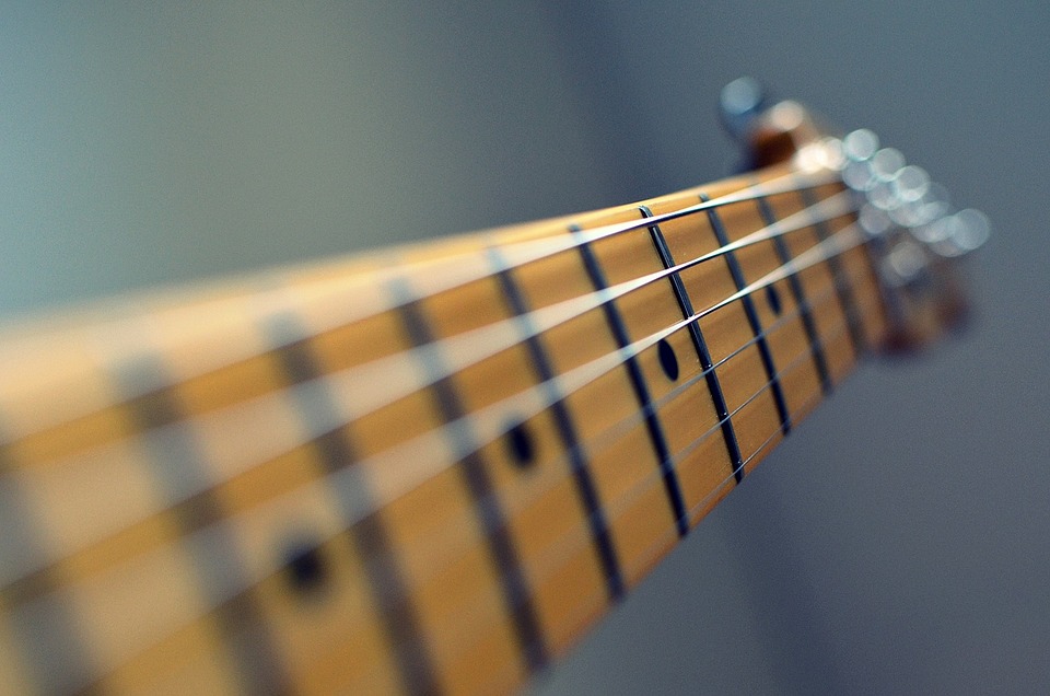 Guitar Fretboard